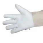 Beekeeping Gloves